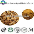 Natural Agaricus Blazei Extract Powder 10%-60% Polysaccharides Agaricus Blazei Murill Mushroom